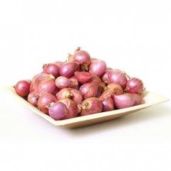 Shallot Onion